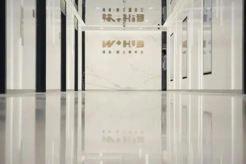 W+HUB 新上海中心(图4)